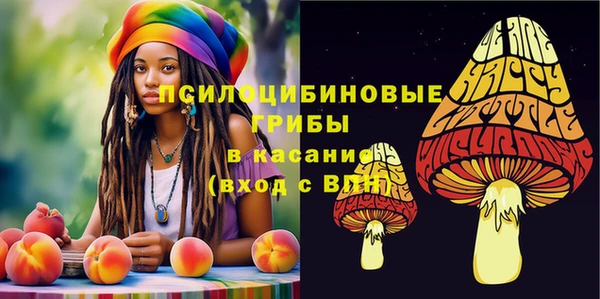 а пвп мука Армянск